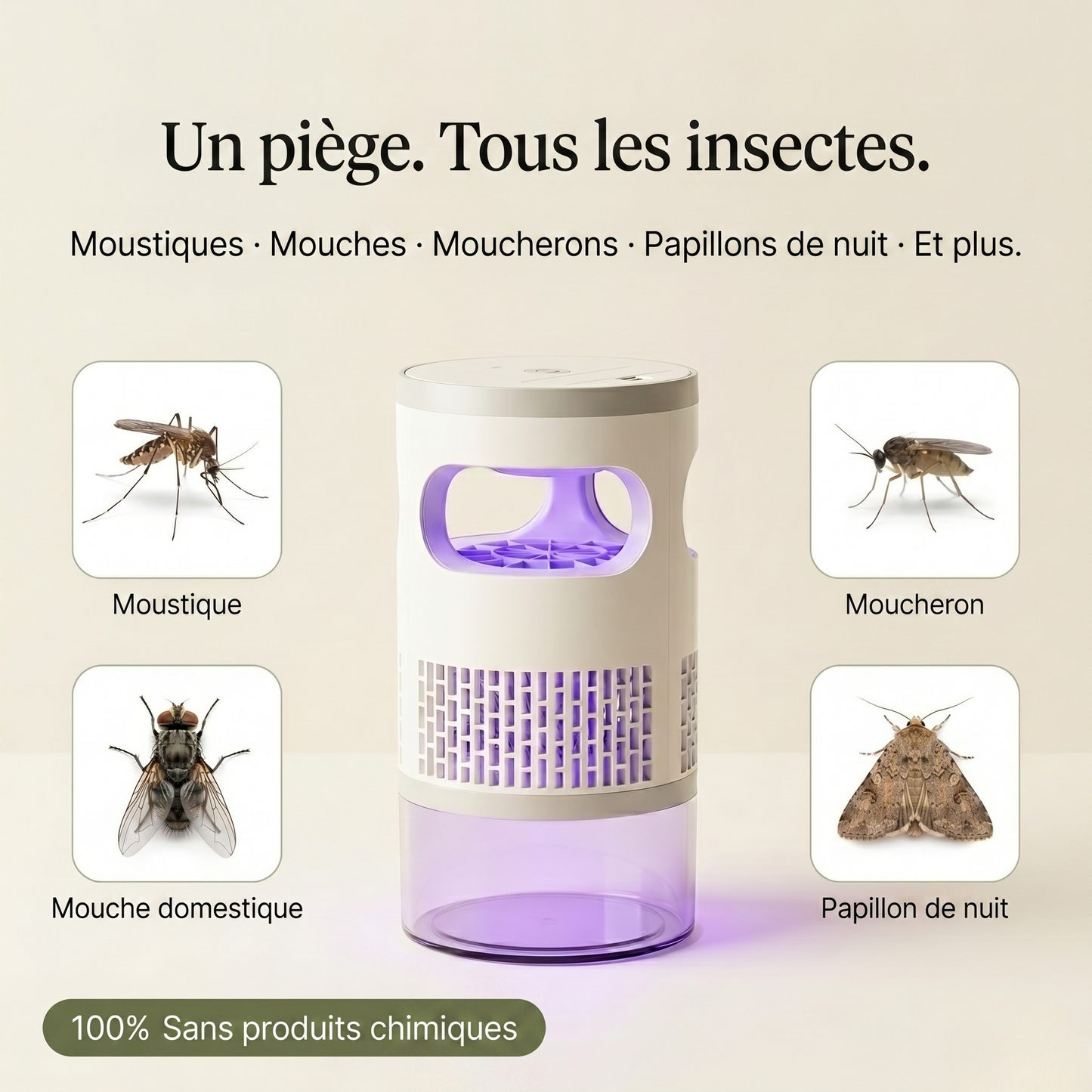MosquiSafe - Piège à Moustiques Silencieux