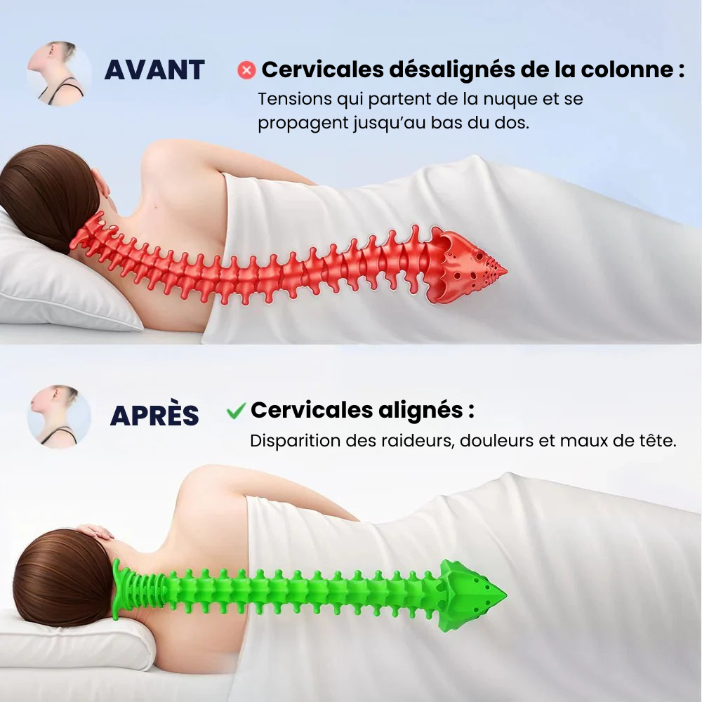 L'oreiller Orthopédique Orthonuit